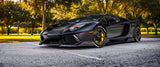 1016 Industries Lamborghini Aventador / Front Grill Vents (Carbon Fiber)