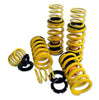 NOVITEC Sport Springs - Aventador LP 700-4 - SSR Performance